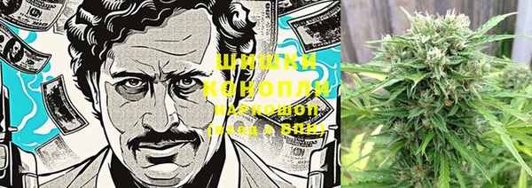 бошки Алексин