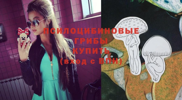бошки Алзамай