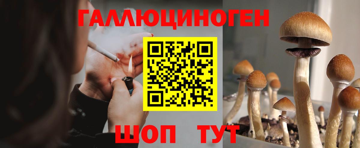 Ревда  Галлюциногенные грибы прущие грибы  Галлюциногенные грибы Psilocybine cubensis  Вход с VPN 